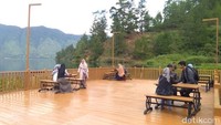 Selain danau, perkebunan kopi penduduk sekitar juga jadi pemandangan yang ciamik (Datuk Haris/detikTravel)