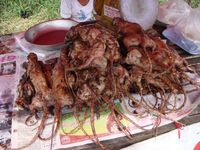 Di Pasar Ini Daging Tikus  Lebih Populer dari Daging  Ayam