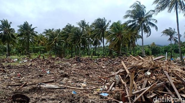 Rumah-rumah di Kecamatan Sumur, Banten, rata dengan tanah / 