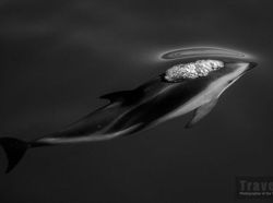 Deretan Foto Perjalanan Terbaik 2018