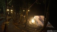Air hangat yang berada di antara pohon pinus yang rindang ini tepat untuk menikmati malam pergantian tahun. (Uje Hartono/detikTravel)