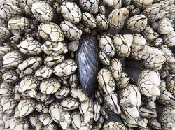 Deretan Foto Perjalanan Terbaik 2018