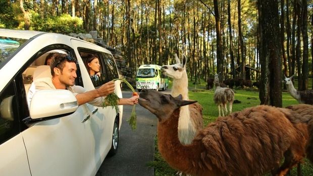 Taman Safari Prigen