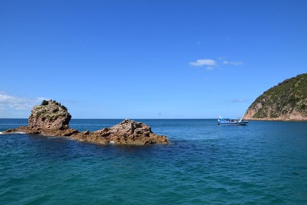 Phillip Island Nature Parks tidak dikenal sebagai destinasi wisata saja. Kawasan ini merupakan pusat konservasi, edukasi dan juga penelitian hewan liar dan laut. (Phillip Island Nature Parks/Facebook) Phillip Island Nature Parks tidak dikenal sebagai destinasi wisata saja. Kawasan ini merupakan pusat konservasi, edukasi dan juga penelitian hewan liar dan laut. (Phillip Island Nature Parks/Facebook)