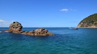 Phillip Island Nature Parks tidak dikenal sebagai destinasi wisata saja. Kawasan ini merupakan pusat konservasi, edukasi dan juga penelitian hewan liar dan laut. (Phillip Island Nature Parks/Facebook)
