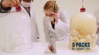 Setelah beberapa bungkus terlihat kapas di kubah yang menghisap rokok konvensional mulai menguning. (Foto: BBC/NHS Smokefree)