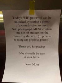 Ibu Ini Berikan Password WiFi Setelah Anak Bersihkan Dapur