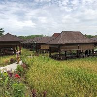  Di  Bekasi  Juga Ada Tempat  Lesehan  Asyik Buat Makan  Bareng 