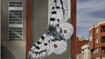 Kupu-kupu raksasa yang hinggap di tembok. (Foto: Brightside)