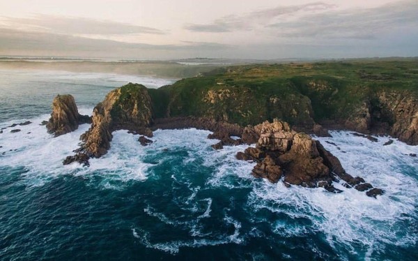 Phillip Island Nature Parks merupakan pulau yang berjarak 90 menit dari Melbourne, Australia dan bisa ditempuh dengan kendaraan pribadi. (Phillip Island Nature Parks/Facebook) Phillip Island Nature Parks merupakan pulau yang berjarak 90 menit dari Melbourne, Australia dan bisa ditempuh dengan kendaraan pribadi. (Phillip Island Nature Parks/Facebook)