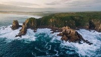 Phillip Island Nature Parks merupakan pulau yang berjarak 90 menit dari Melbourne, Australia dan bisa ditempuh dengan kendaraan pribadi. (Phillip Island Nature Parks/Facebook)