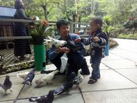 Main dengan Ribuan Burung di Lembang, Ini Tempatnya
