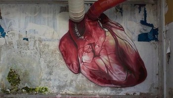 Jantung manusia. (Foto: Brightside)