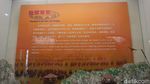 Foto: Layangan Unik di The Kite Museum China