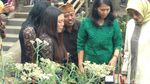 Foto: Ada Kebun Bunga Abadi di Probolinggo