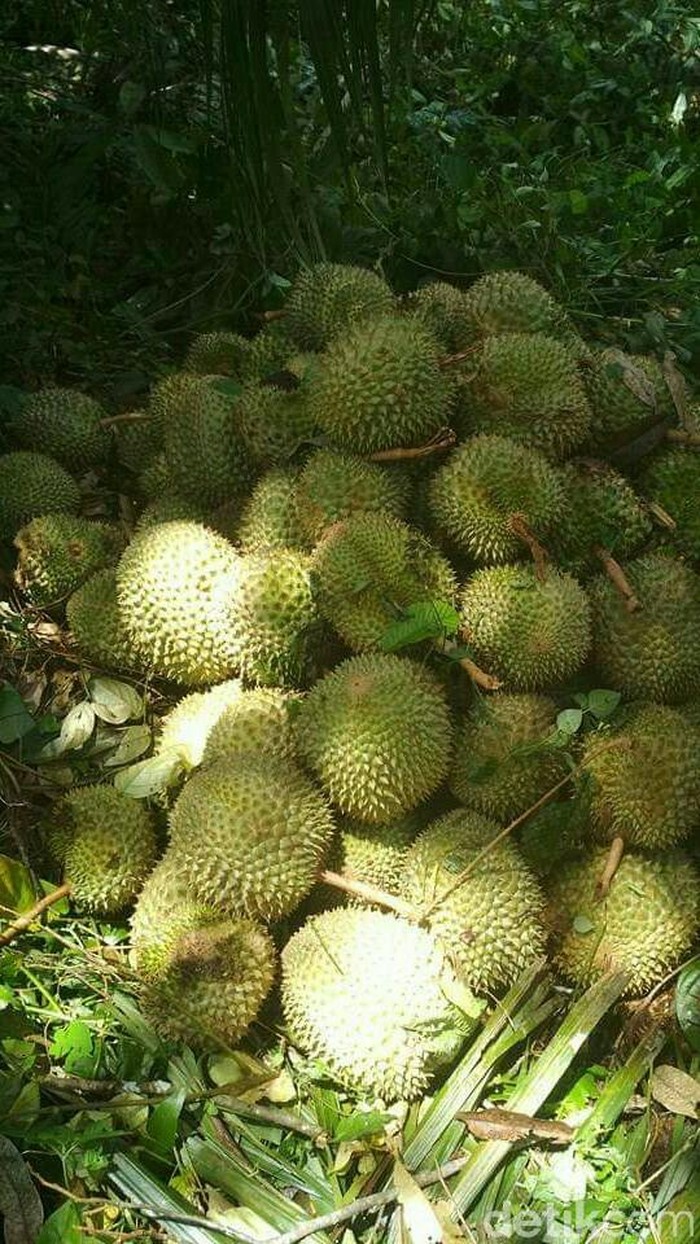 Kurskdagi Talabalar kunining porno kompilyatsiyasini tomosha qiling Issiq jinsiy aloqa