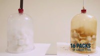 Pada akhirnya ini yang terjadi setelah menghisap 16 bungkus rokok konvensional. (Foto: BBC/NHS Smokefree)