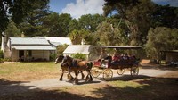 Bisa dikatakan, berlibur di Phillip Island Nature Parks menyenangkan dan banyak pilihan. Pilihan tur pun ditawarkan sesuai dengan kantong, mulai dari murah sampai ke kelas VIP. (Phillip Island Nature Parks/Facebook)