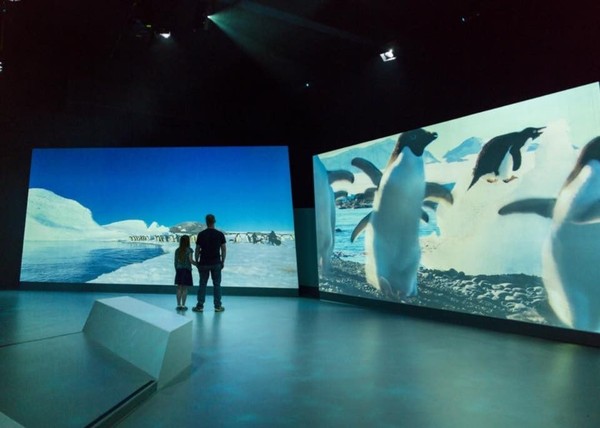 Di sana juga ada Antartic Journey. Kamu bisa melihat bagaimana kehidupan di Antartika melalui multimedia. (Phillip Island Nature Parks/Facebook) Di sana juga ada Antartic Journey. Kamu bisa melihat bagaimana kehidupan di Antartika melalui multimedia. (Phillip Island Nature Parks/Facebook)