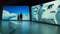 Di sana juga ada Antartic Journey. Kamu bisa melihat bagaimana kehidupan di Antartika melalui multimedia. (Phillip Island Nature Parks/Facebook)