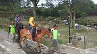 Penyedia jasa kuda dibuat dengan sistem antre. Hal ini dilakukan agar semua anggotanya bisa bekerja (Eko Susanto/detikTravel)