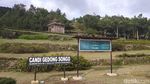 Foto: Berkuda Keliling Candi di Kaki Gunung, Mau?