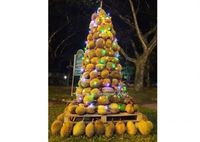 Antimainstream Pohon  Natal  Ini Terbuat dari  Tumpukan Durian