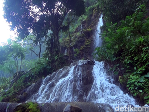 Foto: Gua Sekaligus Air Terjun Cantik di Lumajang