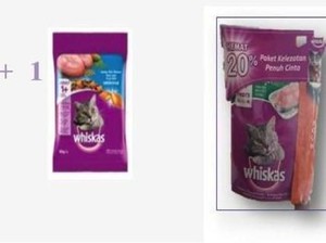 Memilih Pakan yang Tepat Kunci Kesehatan dan Keindahan Bulu Kucing