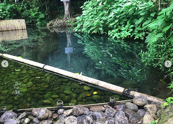 Inilah mata air yang indah di Situ Cisanti yang dipotret Kang Emil, begitu panggilan akrabnya (Instagram/ridwankamil) Inilah mata air yang indah di Situ Cisanti yang dipotret Kang Emil, begitu panggilan akrabnya (Instagram/ridwankamil)