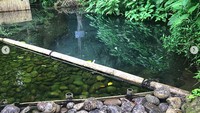 Inilah mata air yang indah di Situ Cisanti yang dipotret Kang Emil, begitu panggilan akrabnya (Instagram/ridwankamil)
