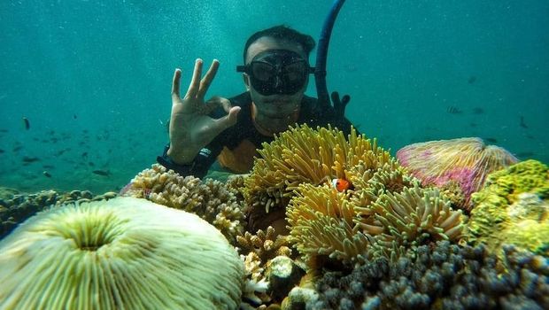 snorkeling