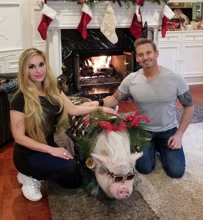 Tidak tanggung-tanggung, harga kacamata tersebut mencapai US$ 690 atau sekitar Rp 10 juta. Tak hanya itu, Marcela yang tinggal Agoura Hills, Los Angeles, California, AS, juga menggelar pesta untuk merayakan ulang tahun kelima Chuy sekaligus syukuran atas keselamatan sang babi dari bencana kebakaran hebat yang melanda kawasan tersebut baru-baru ini. (Foto: Instagram/@marcelaiglesiashollywood)