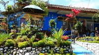 Destinasi kedua adalah kawasan Perkebunan Teh Dayeuh Manggung. Tempatnya terletak masih di area perkotaan Garut tepatnya di Kecamatan Cilawu. (Hakim Ghani/detikTravel)
