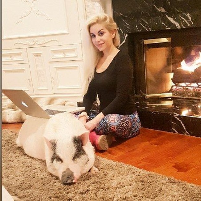 Marcela membeli Chuy saat masih kecil lima tahun lalu. Melihat kondisi induk Chuy, ia tak pernah menyangka babinya bakal sebesar seperti sekarang ini. Kendati begitu, ia mengaku tak pernah berkeinginan untuk membuang atau menjual Chuy. Dalam setahun, ia bisa menghabiskan uang puluhan juta rupiah hanya untuk perawatan babi kesayangannya itu. (Foto: Instagram/@marcelaiglesiashollywood)