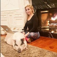 Marcela membeli Chuy saat masih kecil lima tahun lalu. Melihat kondisi induk Chuy, ia tak pernah menyangka babinya bakal sebesar seperti sekarang ini. Kendati begitu, ia mengaku tak pernah berkeinginan untuk membuang atau menjual Chuy. Dalam setahun, ia bisa menghabiskan uang puluhan juta rupiah hanya untuk perawatan babi kesayangannya itu. (Foto: Instagram/@marcelaiglesiashollywood)