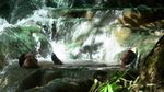 Foto: Petualangan Richard Kyle dan Syamsir Alam di Krabi