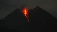Guguran lava pijar Gunung Merapi juga terjadi pada Rabu (19/12/2018) dini hari lalu. ANTARA FOTO/Aloysius Jarot Nugroho.