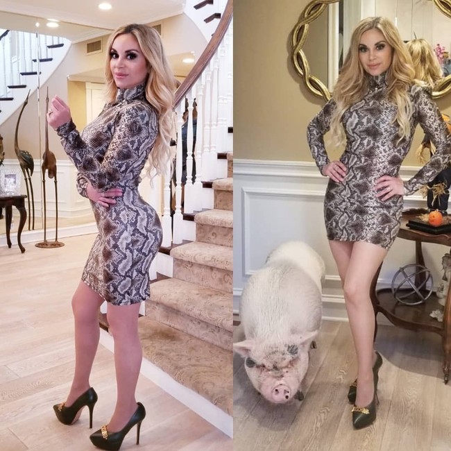 Dikabarkan Daily Mail, rumah Marcela hampir terbakar ketika Chuy yang berbobot 114 kilogram itu tak bisa dievakuasi karena terlalu berat. Kami sangat bahagia merayakan ulang tahunnya setelah rumah saya nyaris hangus terbakar karena kekabakaran tersebut, ungkap Marcela. (Foto: Instagram/@marcelaiglesiashollywood)