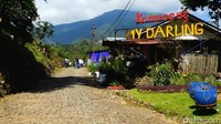 Wisatawan bisa belajar bikin pot bunga dari celana dan barang bekas di tempat ini. Selain itu, wisatawan juga bisa melihat patung relief 7 Presiden RI berdampingan di Kampung Jokowi. Untuk masuk ke kawasan objek wisata ini, wisatawan hanya perlu merogoh kocek uang tiket masuk sebesar Rp 15 ribu per orang.  (Hakim Ghani/detikTravel)