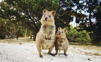 Wisata ke Australia Barat Bersama Keluarga, Ini Aneka Tempat Serunya