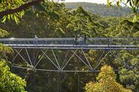 Wisata ke Australia Barat Bersama Keluarga, Ini Aneka Tempat Serunya