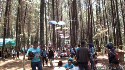 Foto: 2 Tempat Hits di Garut untuk Liburan Tahun Baru