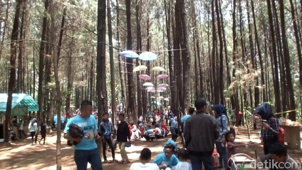 Foto: 2 Tempat Hits di Garut untuk Liburan Tahun Baru