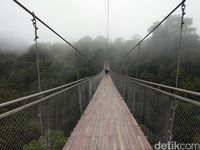 Foto: Jembatan Gantung Situ Gunung Yang Viral Di Medsos