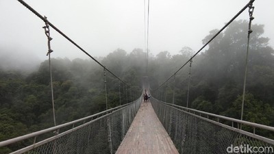 Foto: Jembatan Gantung Situ Gunung yang Viral di Medsos