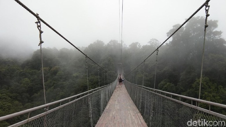 Jembatan Gantung Situ Gunung yang viral di media sosial (Idris/detikTravel) Jembatan Gantung Situ Gunung yang viral di media sosial (Idris/detikTravel)