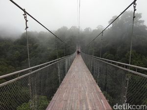 10 Rekomendasi Tempat Wisata Sukabumi dengan Pemandangan Indah