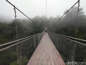 10 Rekomendasi Tempat Wisata Sukabumi dengan Pemandangan Indah