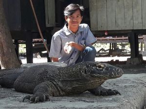 Liburan Murah Lihat Komodo Langsung di NTT